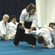 Illustration for article titled A Primer to Martial Arts: Part II (Grappling Arts)